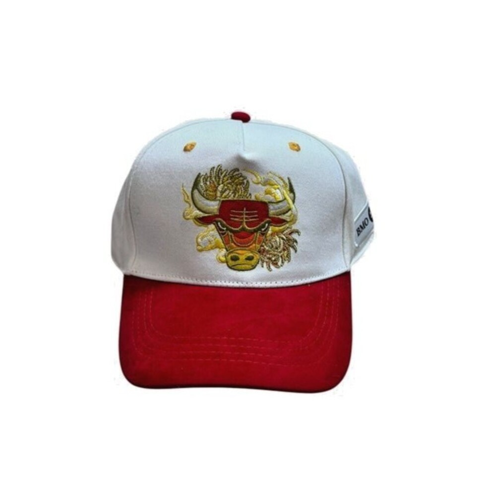 Chicago Bulls Artist Hat Series Cap by Kayla Mahaffey From 12/29/2025 NEW NBA